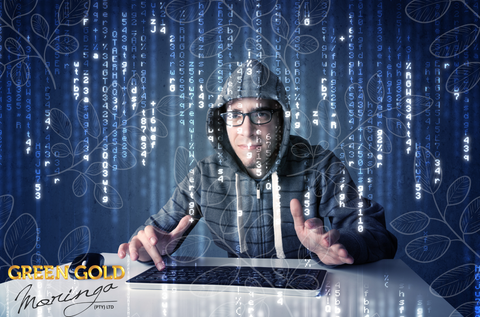 From Ancient Wisdom to Modern Marvel: Decoding Moringa’s Superfood Prowess