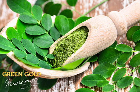 Green Gold Rush: Elevate Your Vitality with Premium Moringa Products!