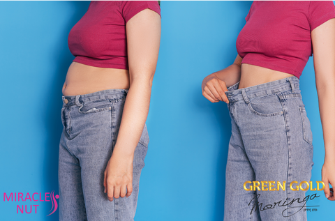 From Flab to Fab: Moringa’s Role in Revolutionizing Your Weight Loss Journey