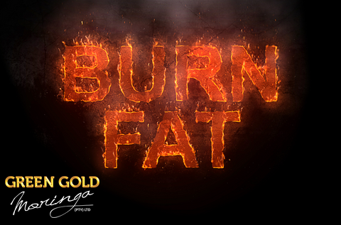 Burn Fat the Natural Way with Moringa!