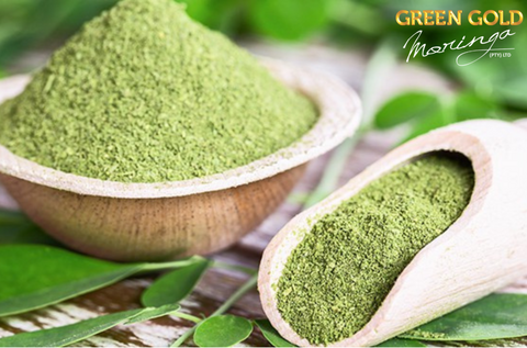 Moringa Oleifera – The Superfood You Need in Your Life!