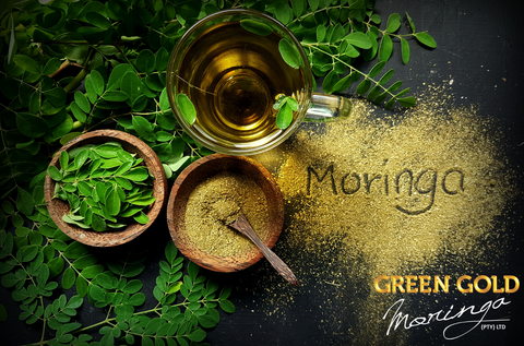Embrace the Power of Green Gold: Moringa’s Legacy in South Africa