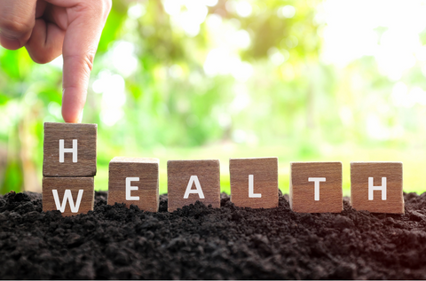 The Currency of Wellness: Why Health is the Ultimate Asset