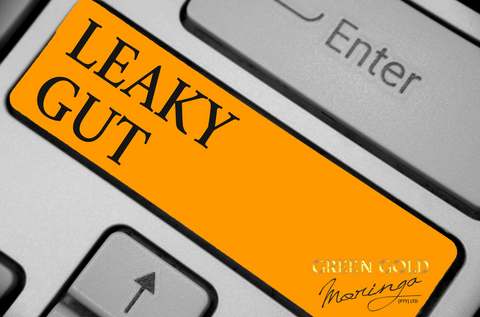 Heal Your Gut Lining Naturally with Moringa!