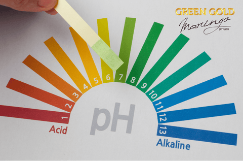 Balance Your pH Naturally with Moringa!