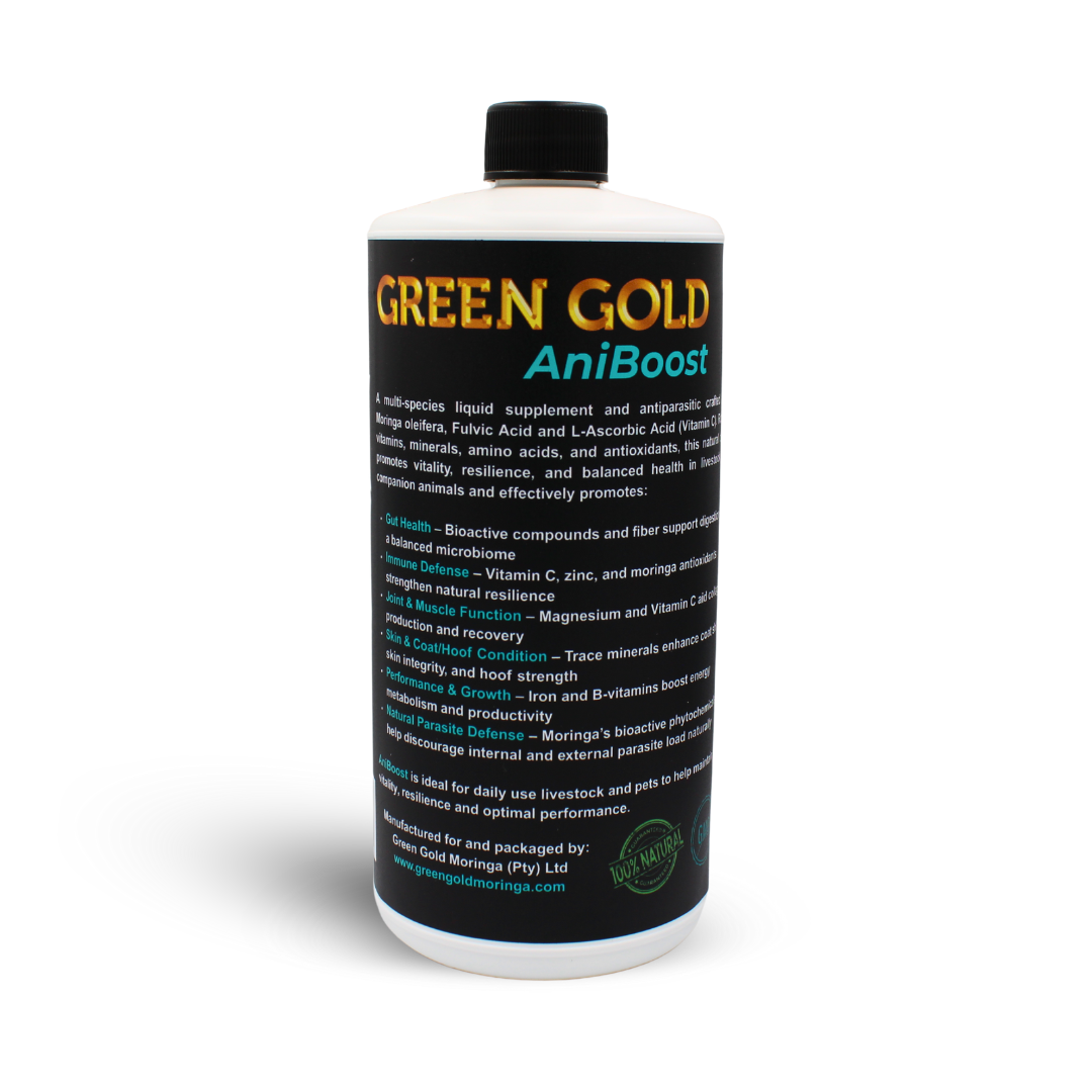 1L ANIBOOST MORINGA NUTRIENT SUPPORT FOR ANIMALS