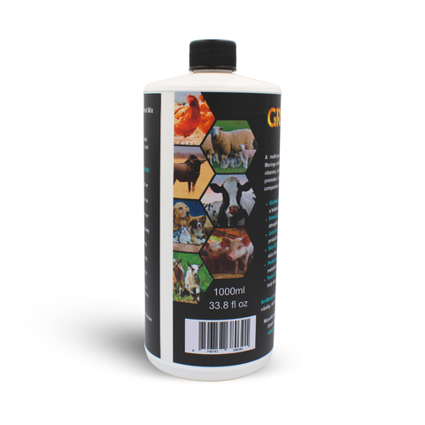 1L ANIBOOST MORINGA NUTRIENT SUPPORT FOR ANIMALS